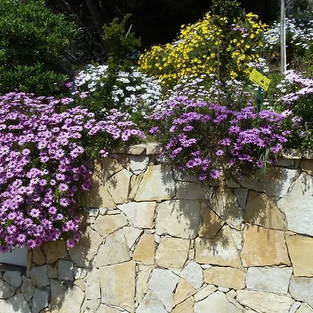 - L'esterel Apartment